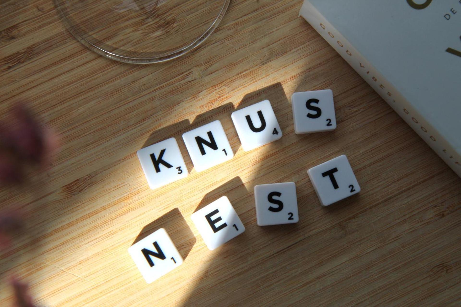 Buitenverblijf Nest Арнем Экстерьер фото